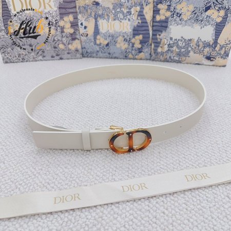 Dior Montaigne Belt
