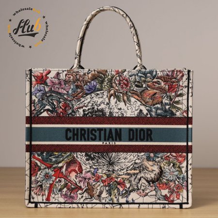 Dior Book Tote Bag